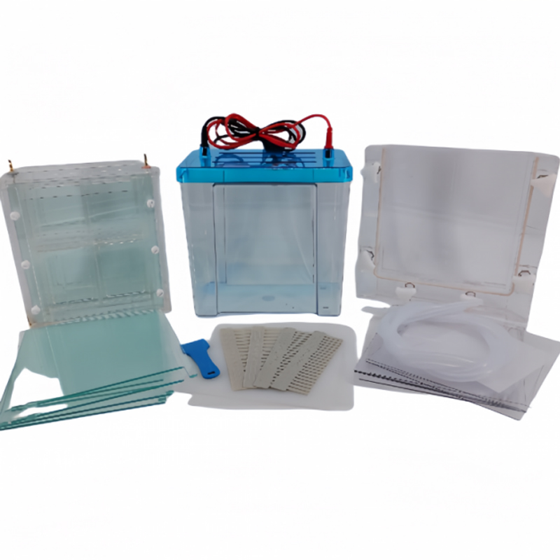 六一生物双垂直电泳仪DYCZ-24FN