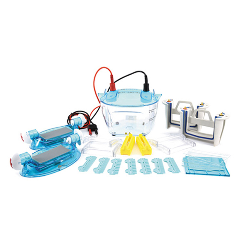 六一生物四板垂直电泳仪DYCZ-24KF