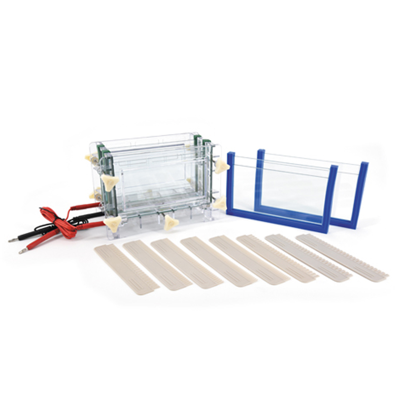 六一生物双板夹心式垂直电泳仪DYCZ-30C