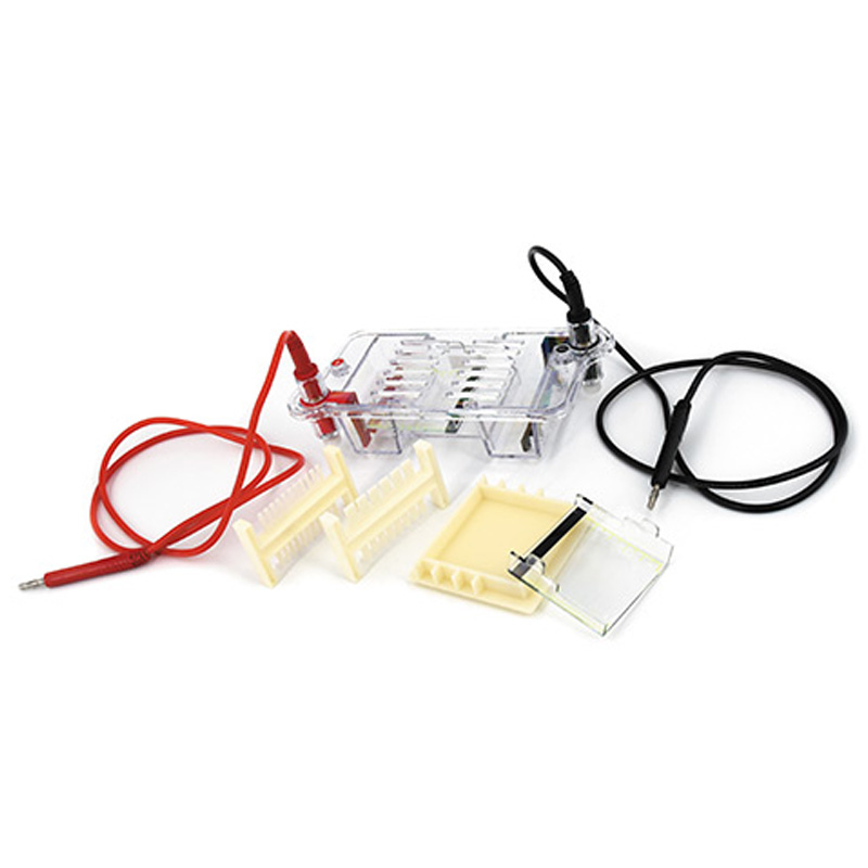 六一生物迷你琼脂糖电泳仪DYCP-31BN