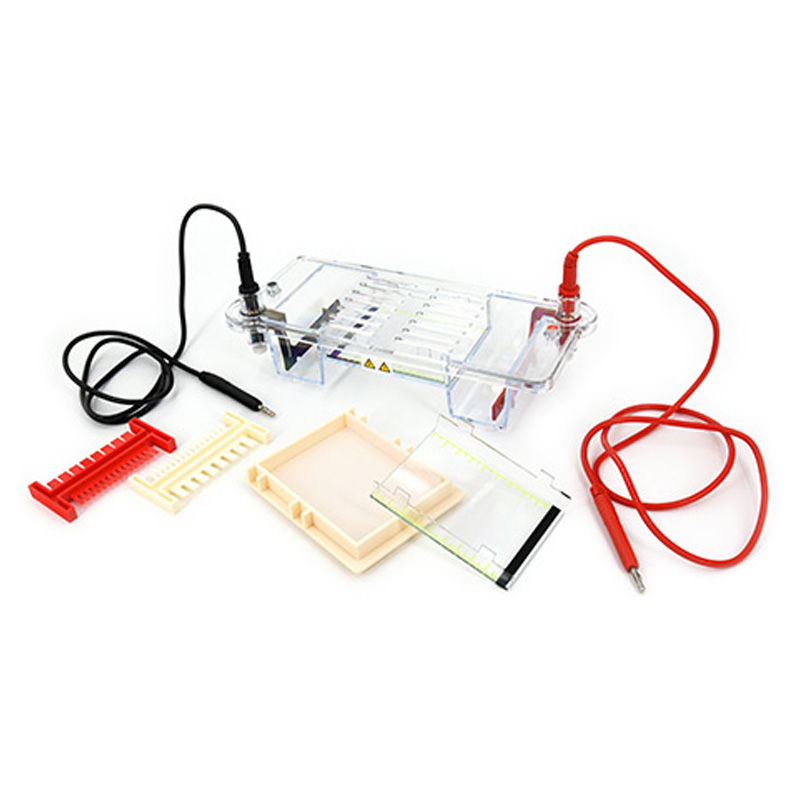 六一生物琼脂糖水平电泳仪DYCP-31CN