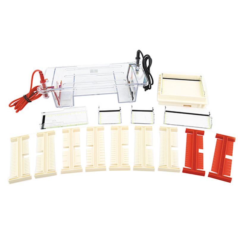 六一生物琼脂糖水平电泳仪DYCP-31DN