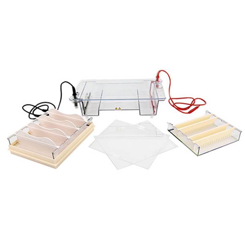 六一生物琼脂糖水平电泳仪DYCP-31E