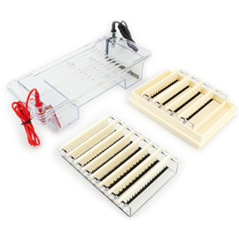 六一生物琼脂糖水平电泳仪DYCP-32B