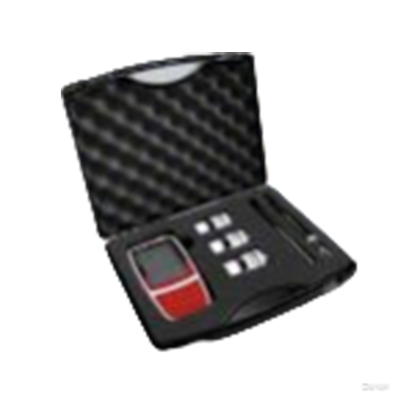 上海般特Bante221-CN便携式pH计