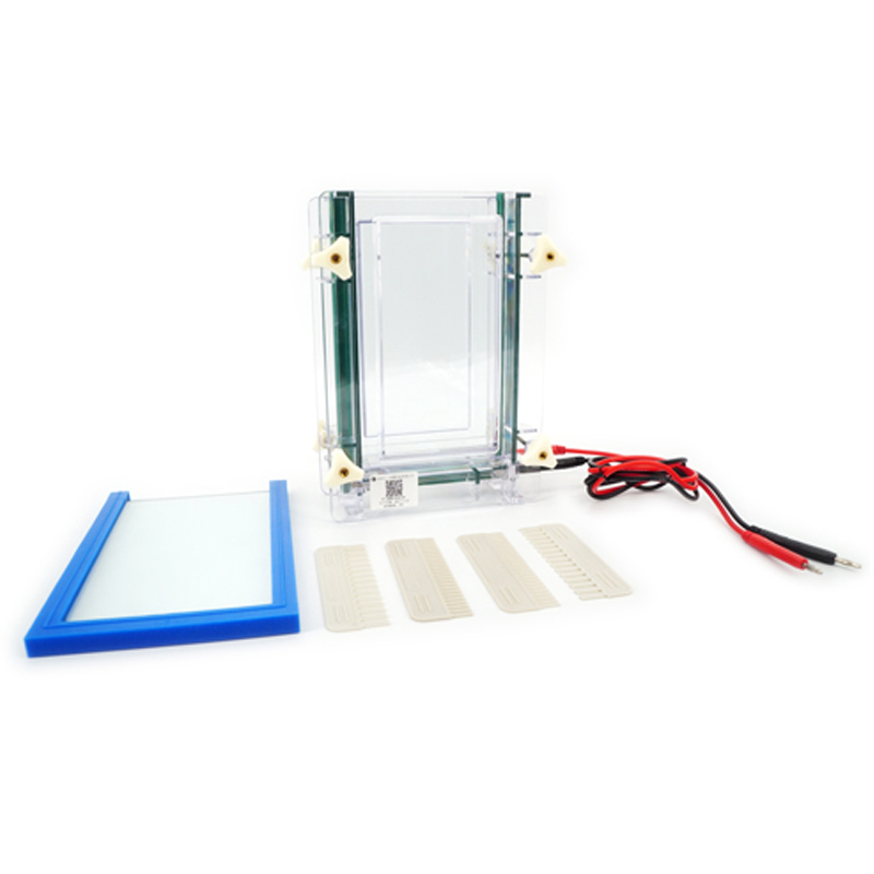 六一生物双板夹芯式垂直电泳仪（大）DYCZ-28D