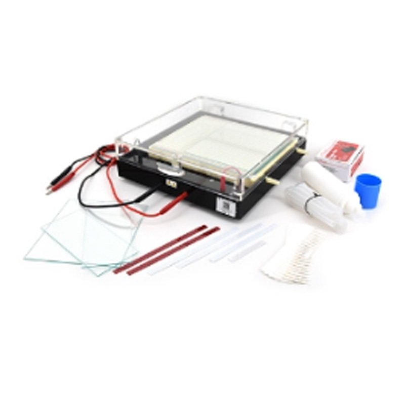 六一生物等电聚焦多用途电泳仪DYCP-37B