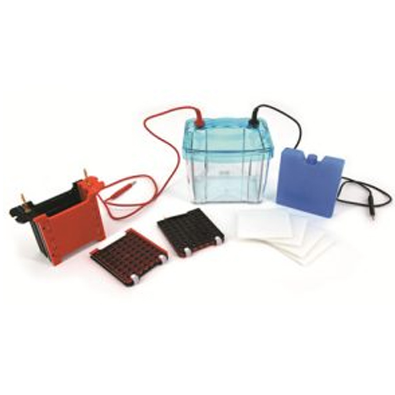 六一生物转印电泳仪（注塑）DYCZ-40G