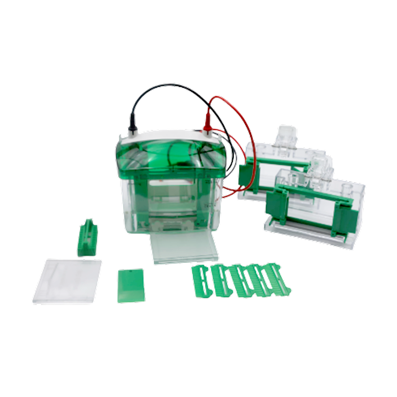 中科永仪EPT-VT02MINI2垂直电泳槽